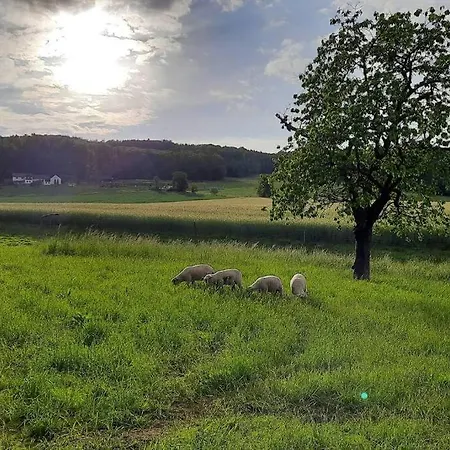 Prázdninový dům Chalupa U řezbářky *